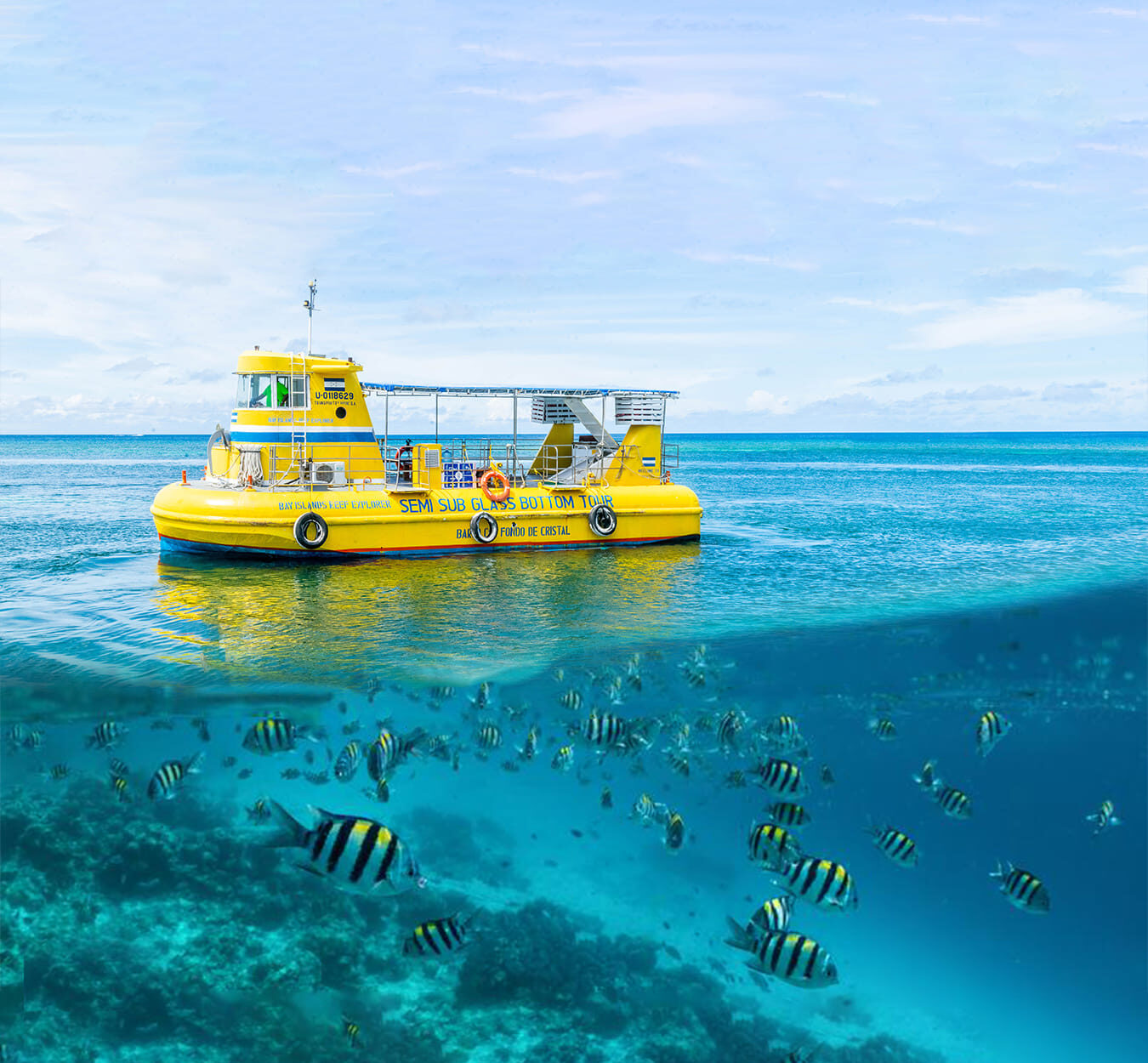 The best of Roatan by land and sea