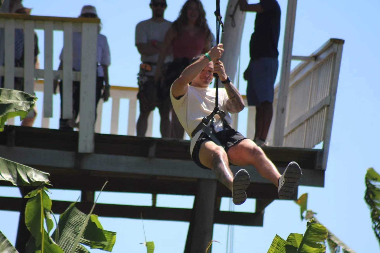 Zipline, Horseback Ride, Eco Park and Beach